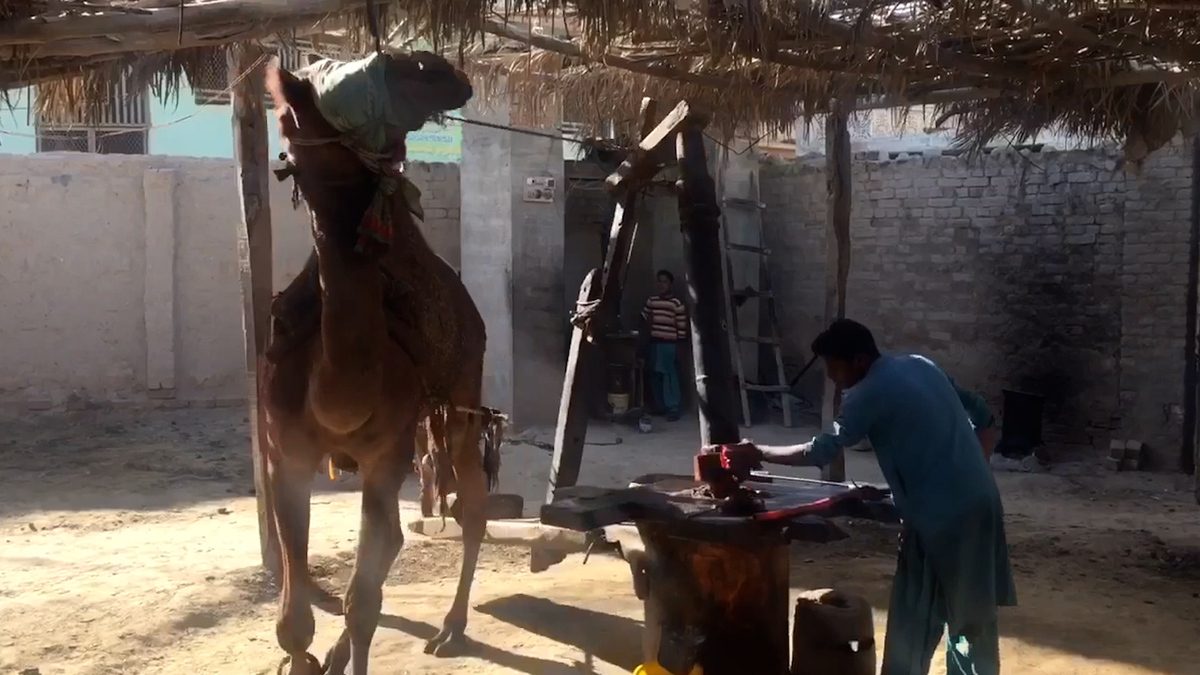 تین نسلوں سے کولہو چلا کر لنگر بانٹنے والا خاندان