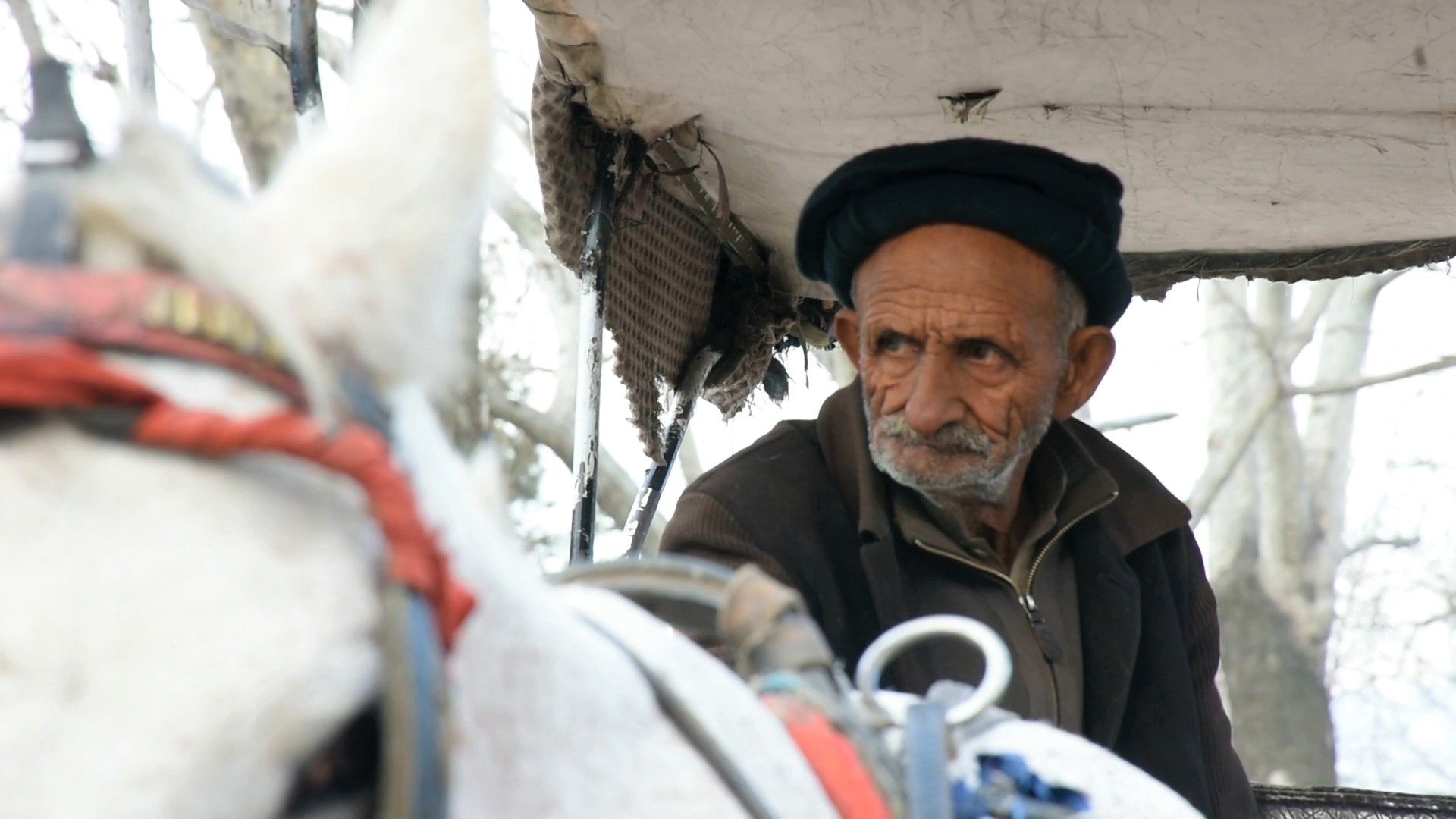 ایبٹ آباد کے آخری کوچوانوں میں سے ایک، یوسف ماما