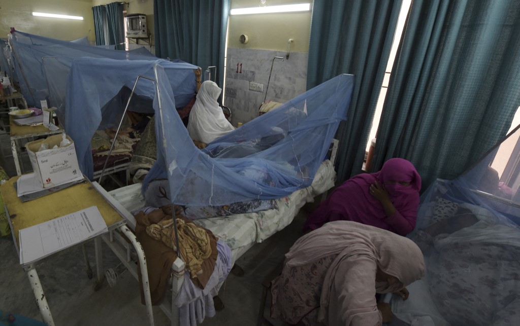 Peshawar Dengue.jpg