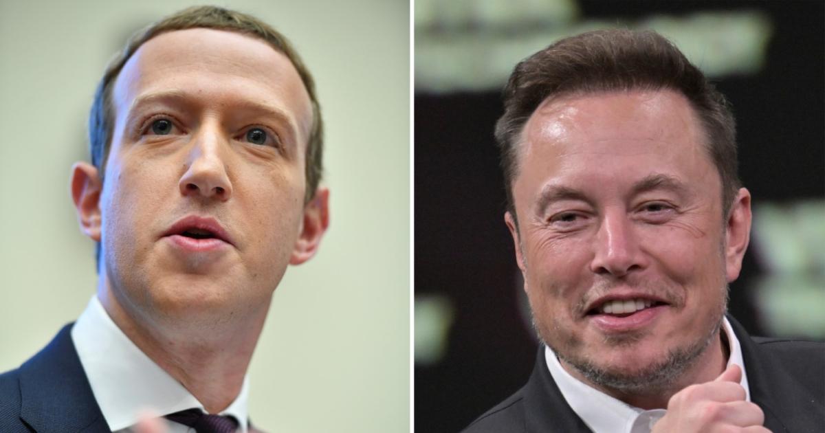 Who will have the upper hand in the cage fight of Zuckerberg and Musk?