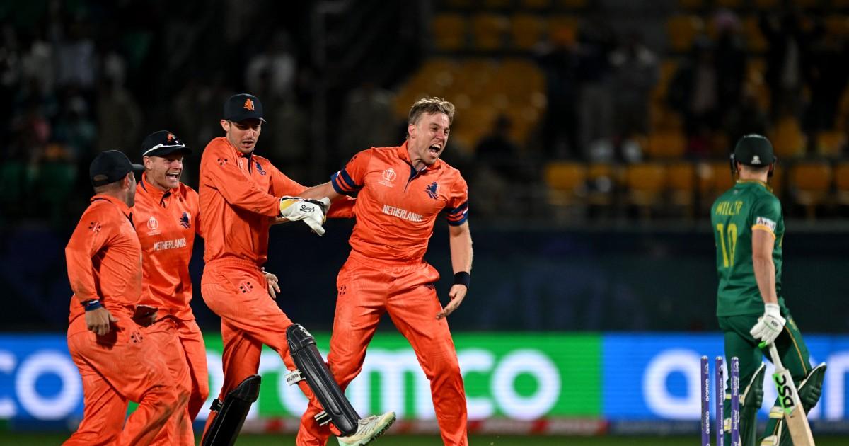 World Cup: Another upset, Netherlands beat South Africa