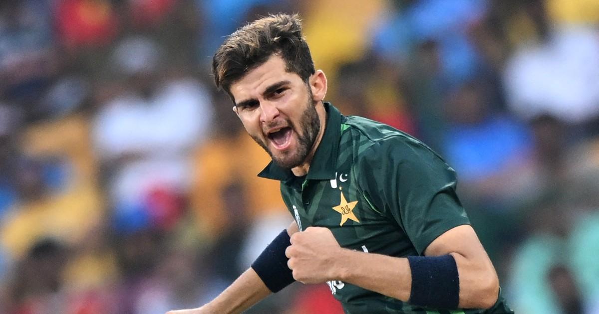 We are still in the tournament: Shaheen Afridi