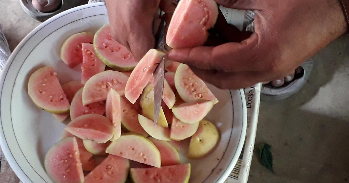 Kohat’s Secret Treasure: Unwrapping the Sweet Enchantment of Pakistan’s Finest Guavas