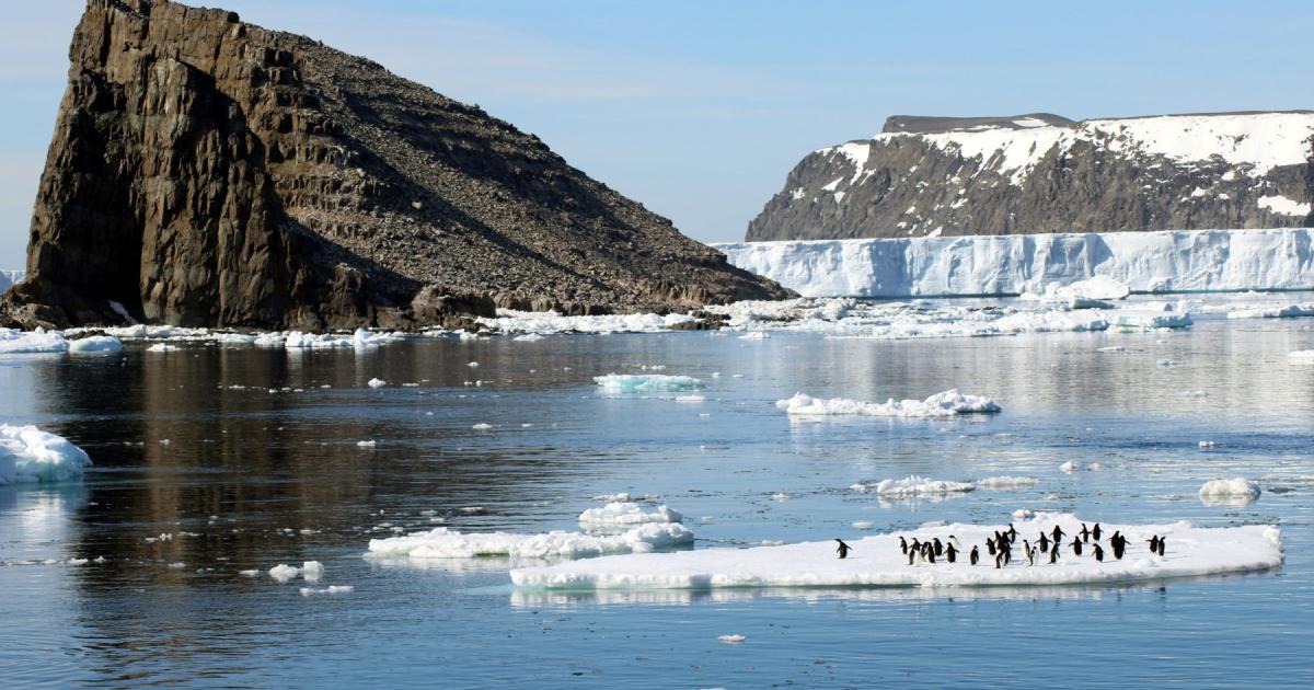 Last decade was warmest on record: World Meteorological Organization