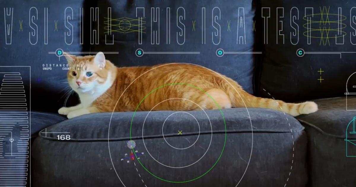 Cosmic Cats: NASA’s Stellar Feline Broadcasts