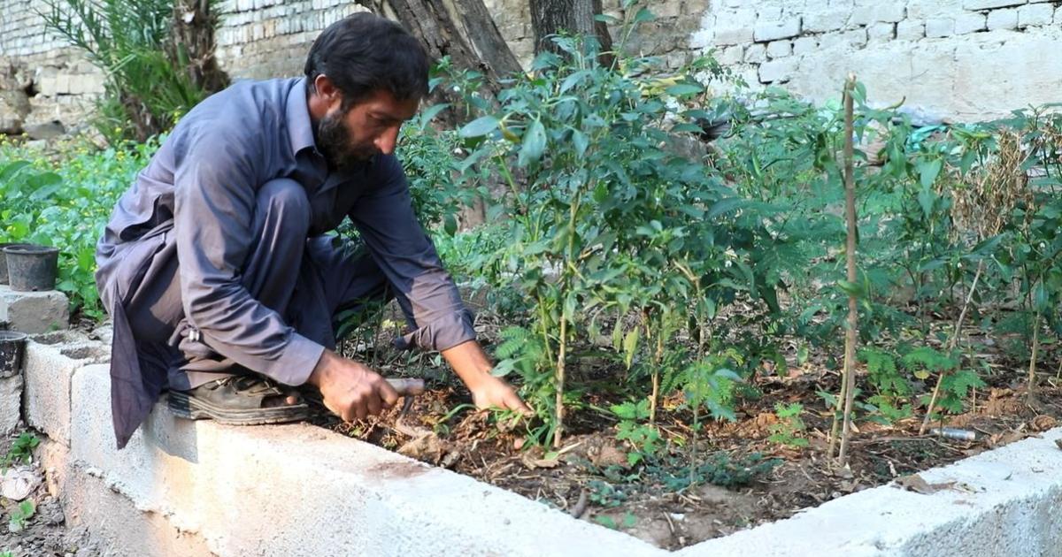 Islamabad’s Groundbreaking Mosque Revolutionizes Water Management for Ablution