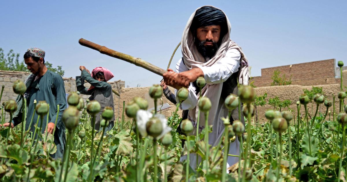 Inquiry committee appointed after anti-Taliban protest in Badakhshan