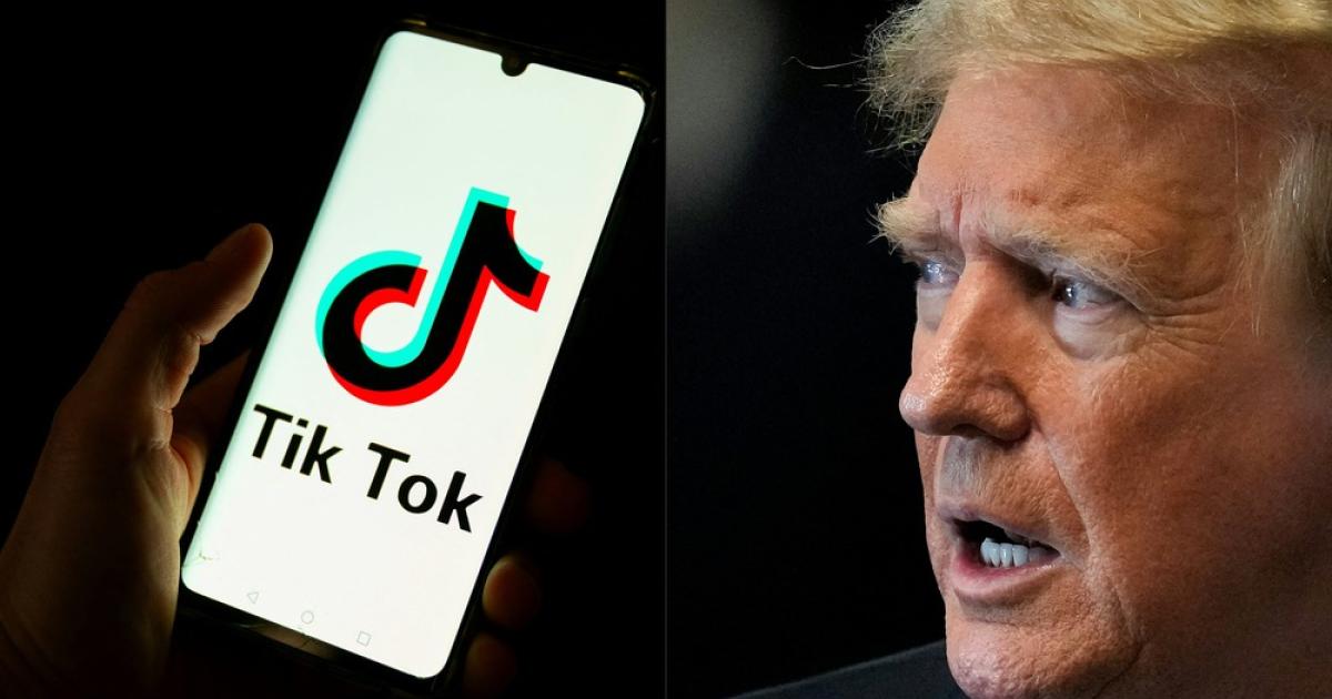 Greater than 3 million followers on Donald Trump’s TikTok in simply two days