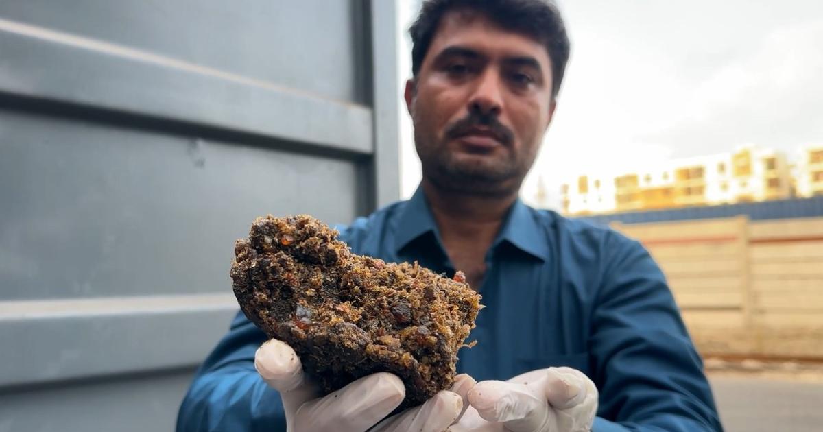 The ‘guggul gum’ of the gugar tree is being smuggled into India: Sindh Wildlife Safety Division