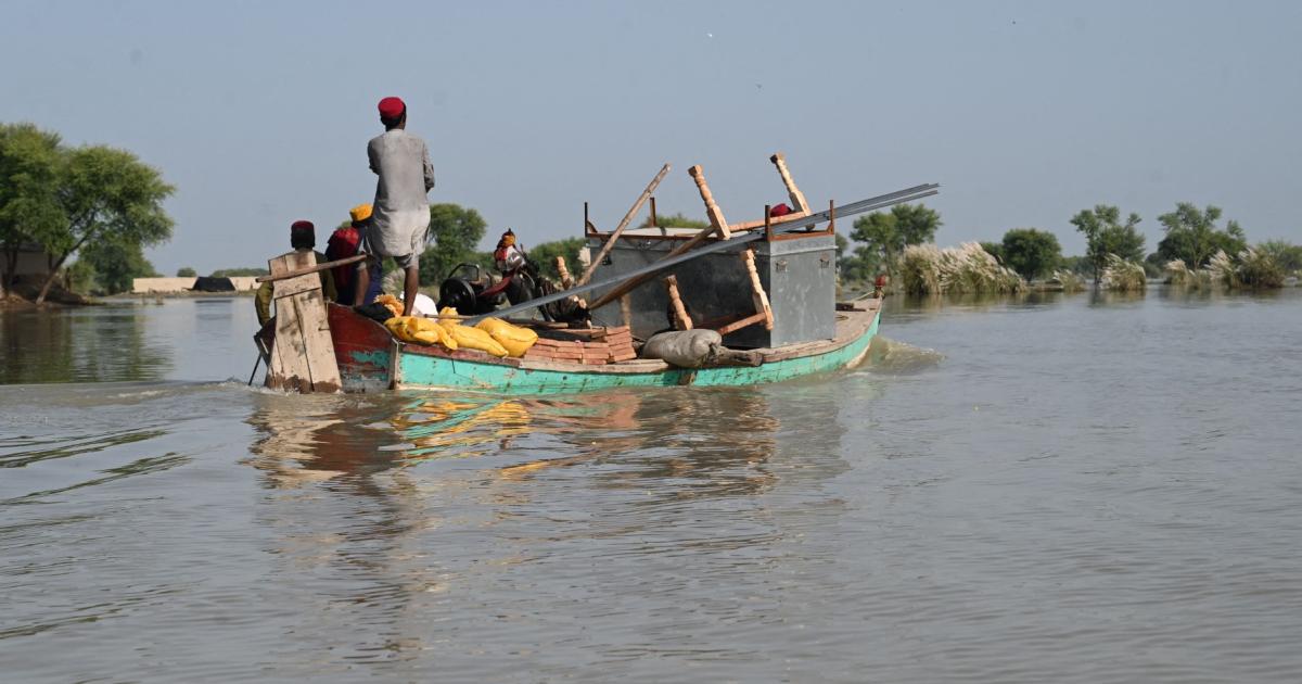 Rains and floods in Punjab more likely to turn out to be extra alarming from 2022: Officers