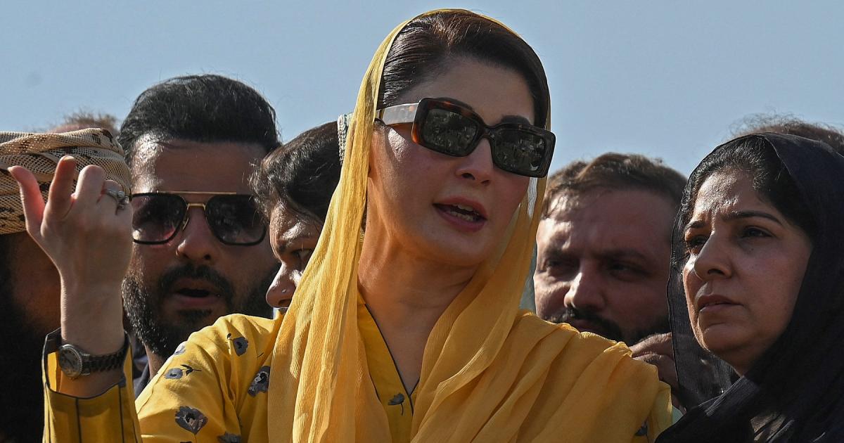 Apologize to Maryam Nawaz docs: Younger docs demand