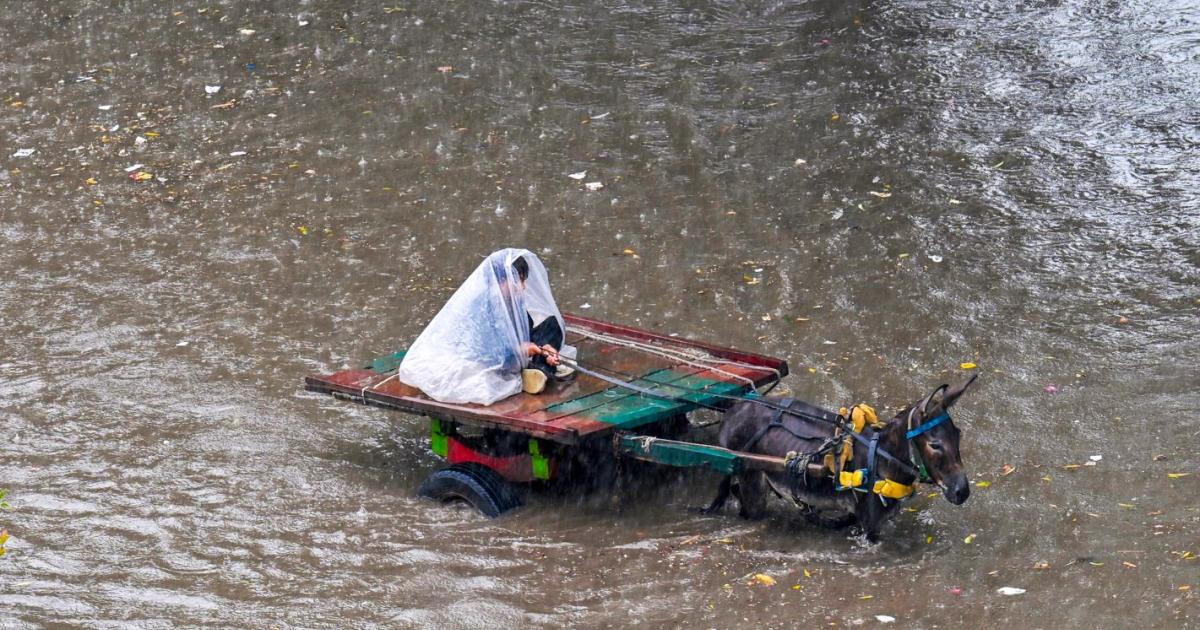 24 deaths, 80 injured due to rains in Punjab