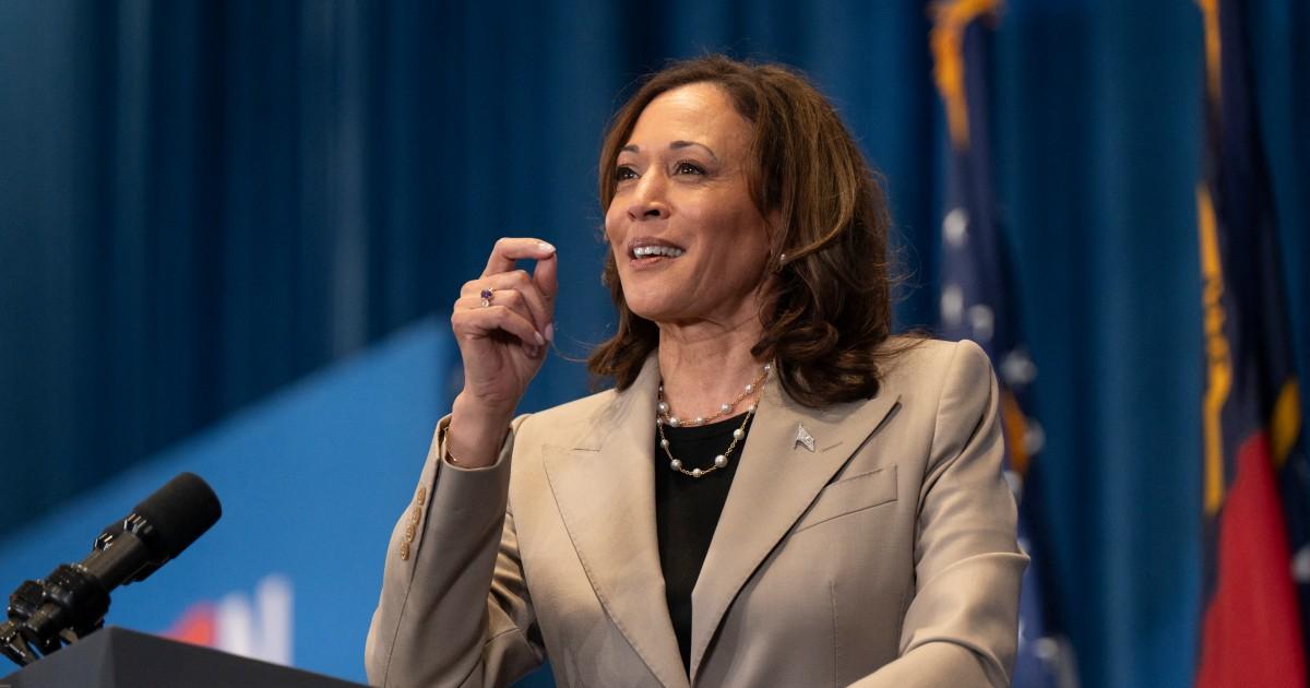 Kamala Harris Determined to Become President After Biden Drops Out