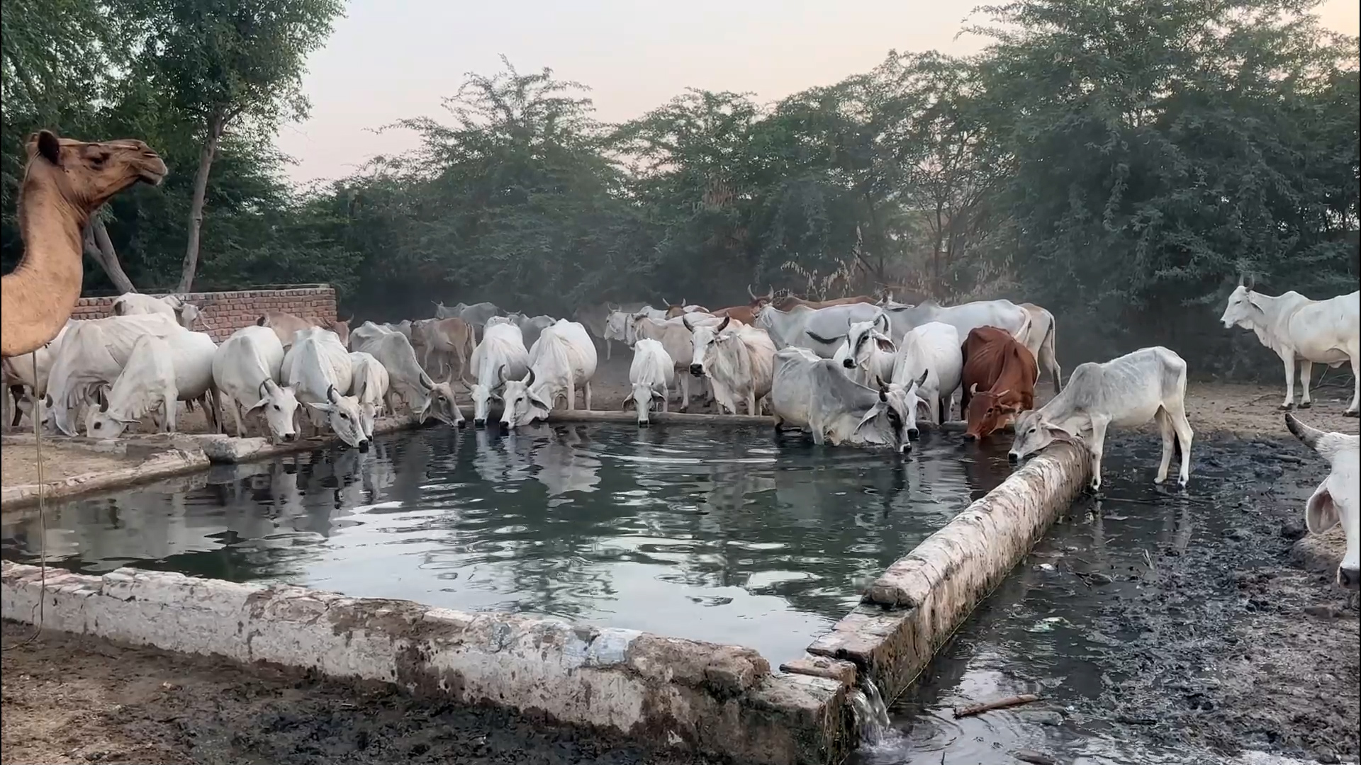 Sindh Water Well