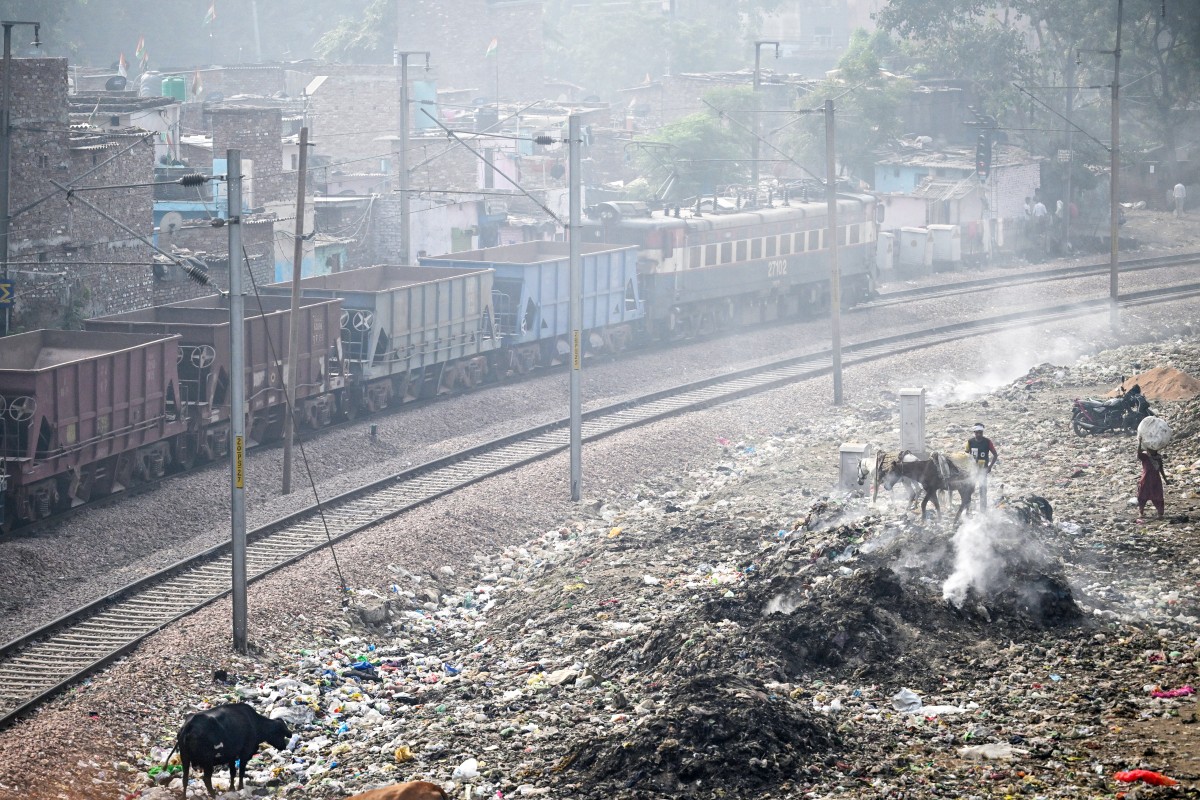 AFP__20241023__36KL3RR__v1__Preview__IndiaEnvironmentPollutionAnimal (1).jpg