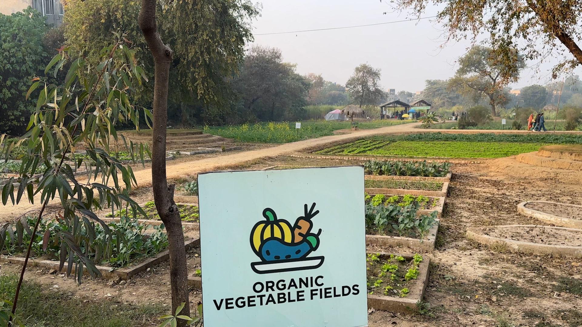 Lahore Organic Market