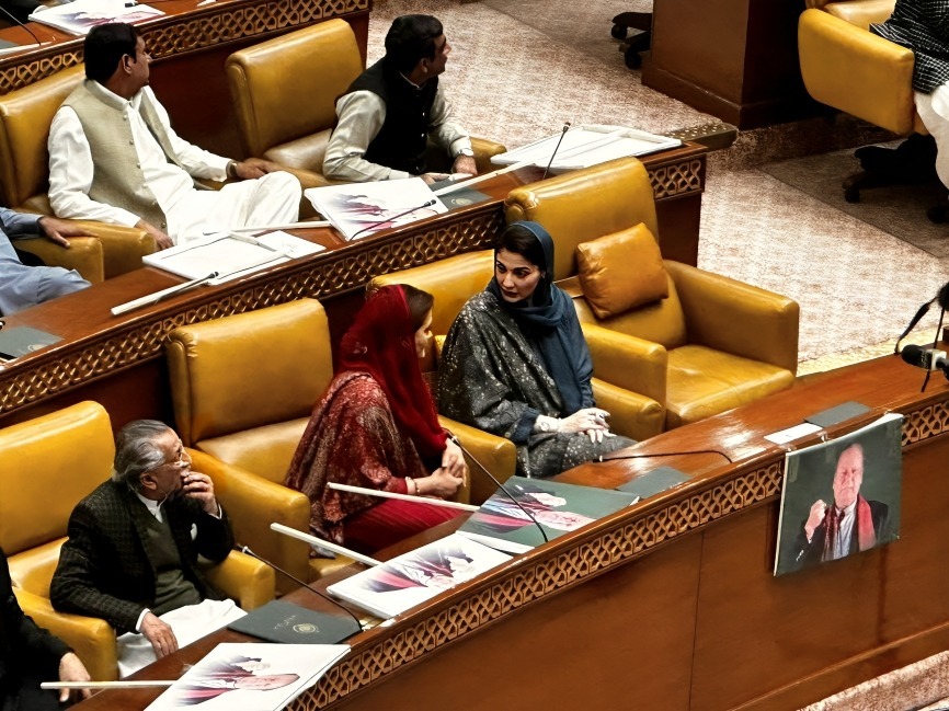 Marium Nawaz In Assembly.jpeg
