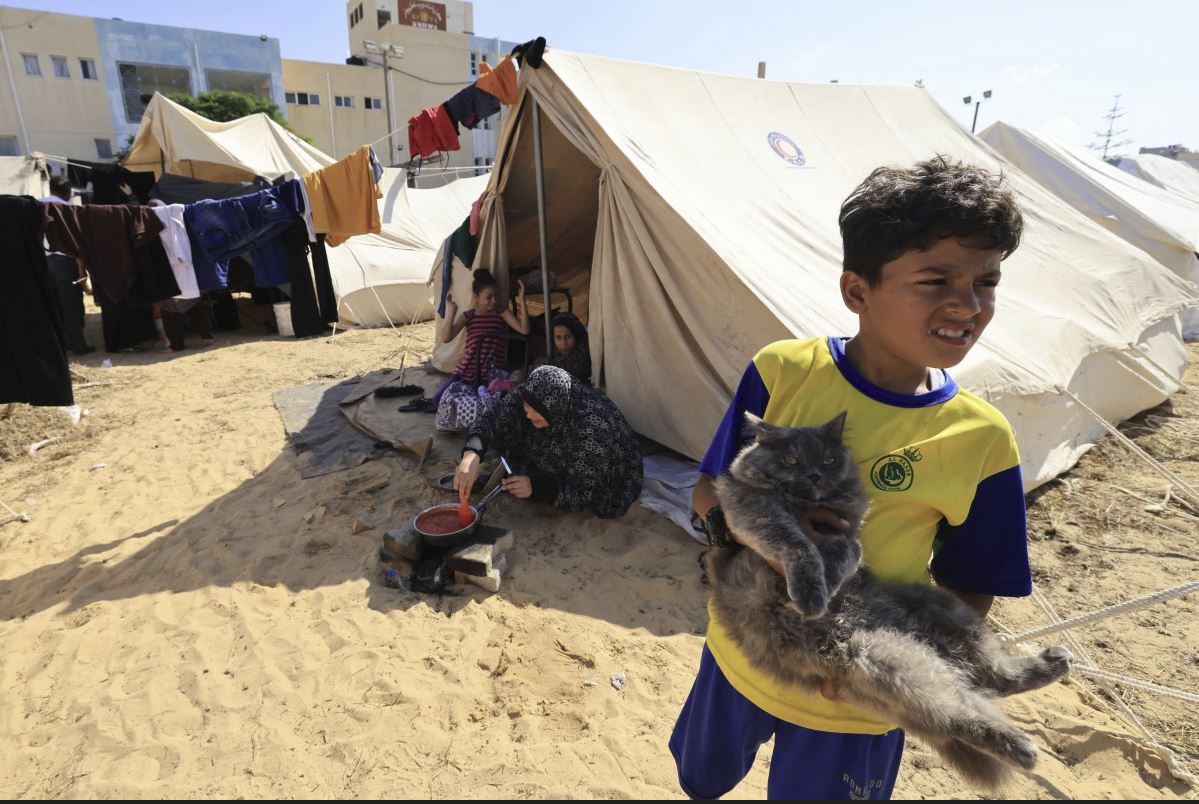 PALESTINIAN BOY WITH CAT.JPG