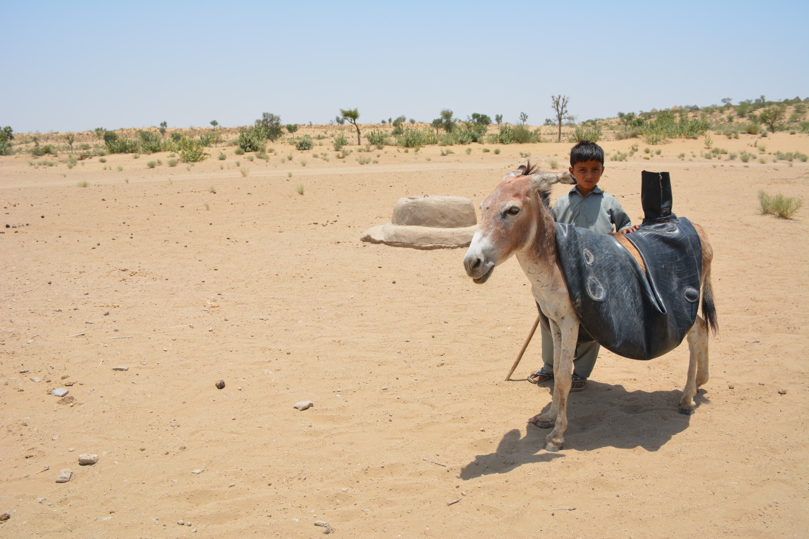 Thar Desert 