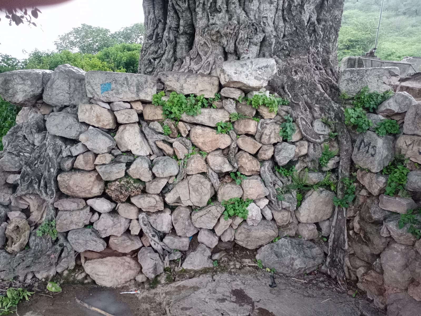 ucha nagar wall.jpg